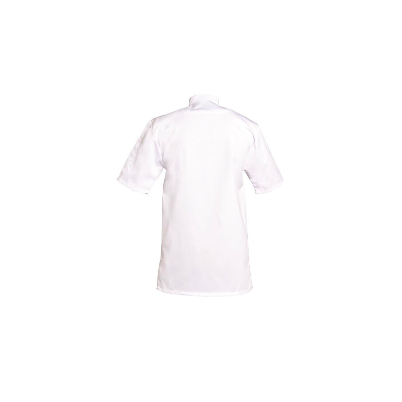 VESTE LUCAS COL OFFICIER MANCHES COURTES BLANCHE