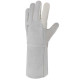 GANT PAUM FLEUR BOVIN DOS ET MANCHTTE CROUTE T10