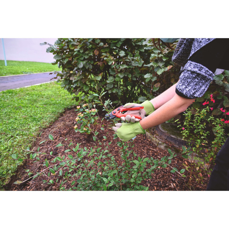 GANTS DE CONFORT JARDIN VERT PASTEL
