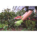 GANTS DE CONFORT JARDIN VERT PASTEL