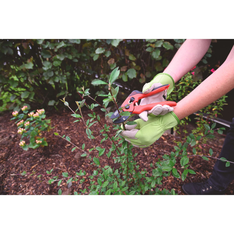 GANTS DE CONFORT JARDIN VERT PASTEL