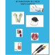 KIT D'HABILITATION BS1 - GANTS LATEX CLASSE 00