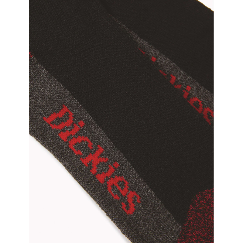 5 PAIRES DE CHAUSSETTES CUSHION CREW DICKIES