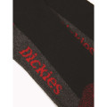 5 PAIRES DE CHAUSSETTES CUSHION CREW DICKIES