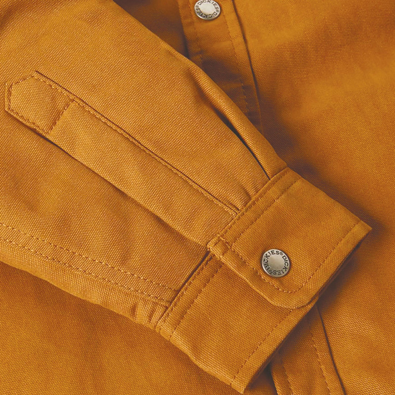 VESTE DE TRAVAIL À CAPUCHE DICKIES COTON DUCK DK0A4XTI